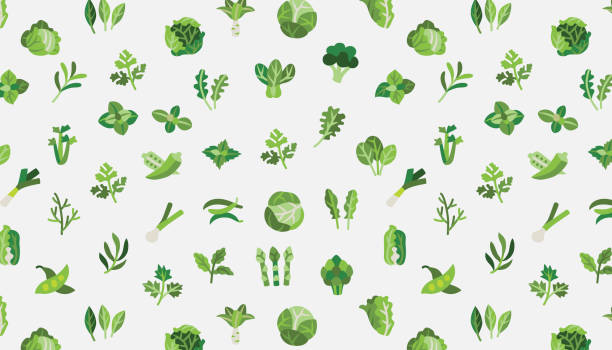 Vector vegetables Seamless pattern. Vector vegetables Seamless pattern. Includes Brassica oleracea. white cabbage stock illustrations