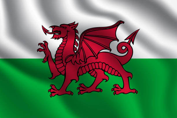 wales nationalflagge schwenkende vektorillustration mit offiziellem farbdesign - welsh flag stock-grafiken, -clipart, -cartoons und -symbole