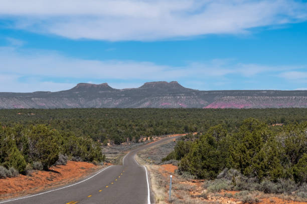 monument de national d’oreilles ours - san juan county photos et images de collection