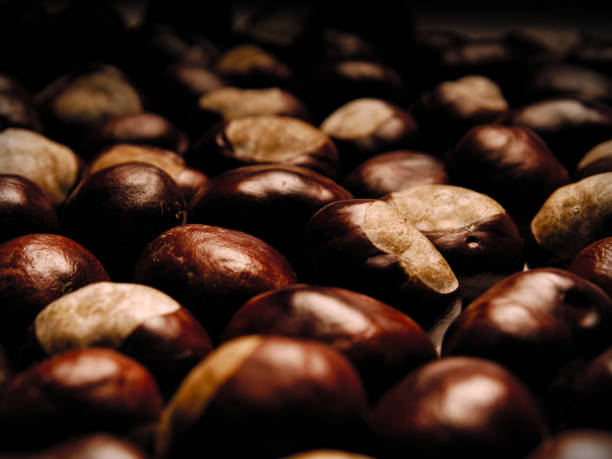 closeup shot of brown chestnut placed side by side - sweet food chestnut yellow brown imagens e fotografias de stock