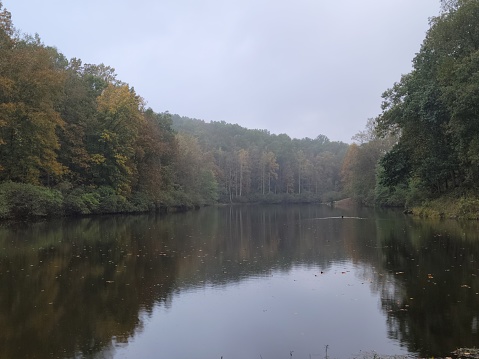 A scenic lake against the autumn forest on a gloomy day