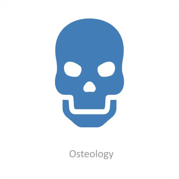 Vector illustration of osteology