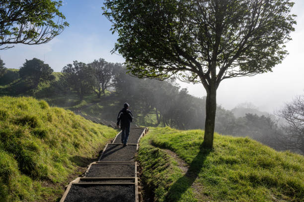 hombre caminando en la niebla en la cumbre del monte edén, auckland. - contemplation silhouette tree men fotografías e imágenes de stock