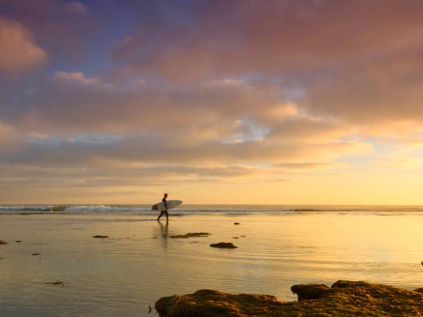 istock Man with surfing board in a sea with a beautiful sunset 1439131086