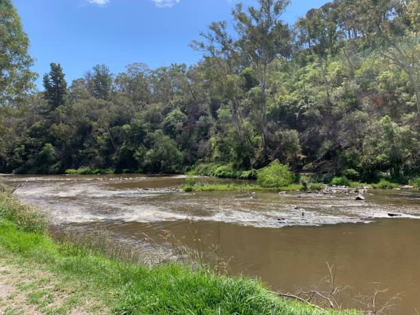 istock River in a countryside area 1439131733