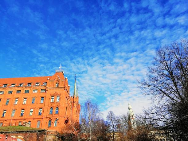 istock Low angle shot of a cathedral surrounded by leafless trees under a cloudy sky in Szczecin, Poland 1439131858