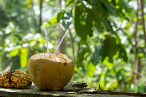 istock Selective focus shot of coconut water with a blurred background 1439132597