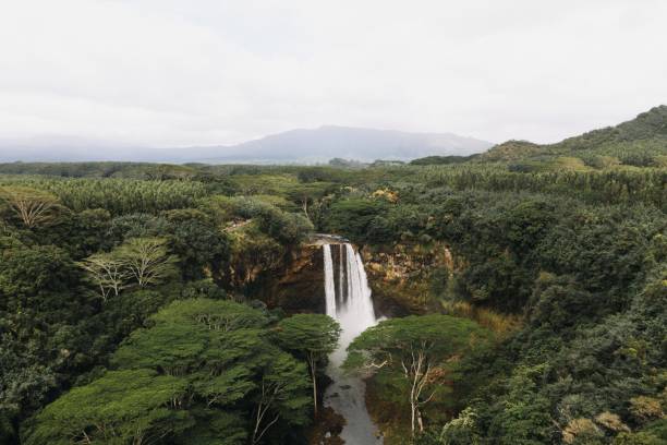 istock High angle shot of waterfalls in the forest 1439132625