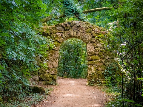 a dirt path in a forest park passing through a stone ark in Serra do Buçaco, Portugal