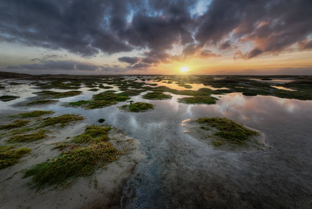 istock Green land formations in the ocean under the cloudy sunset sky 1439136031