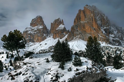 A beautiful shot mountain and trees of Sella Pass Plan in Italy