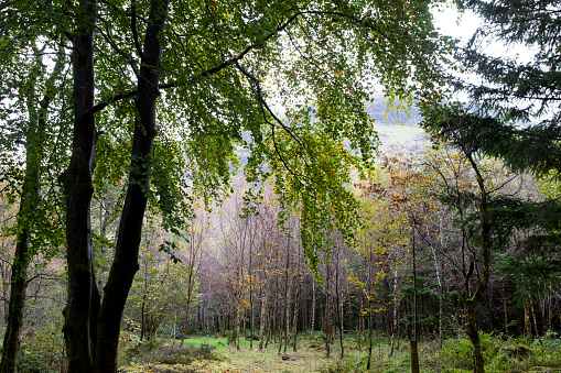 Glen Nevis, Scotland in the autumn