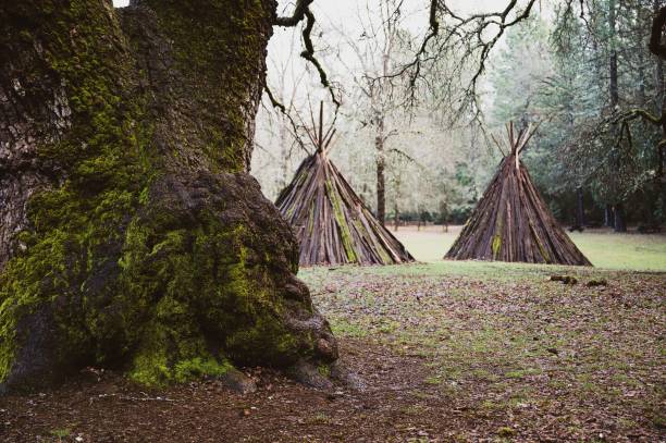 native american traditional me-wuk ceremony lodging during daytime - lodging imagens e fotografias de stock