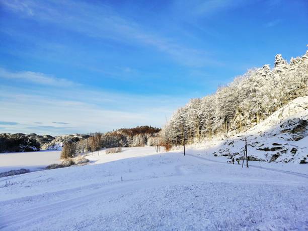 paysage de collines couvertes d’arbres et de neige sous le soleil et un ciel bleu à larvik en norvège - frozen ice sky sun photos et images de collection