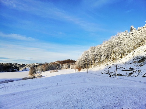 A landscape of hills covered in trees and snow under the sunlight and a blue sky in Larvik in Norway