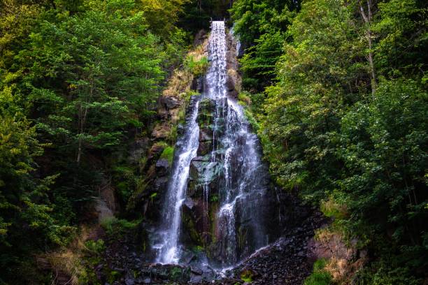 istock Trusetaler Waterfall flowing through the forest in Germany 1439139473