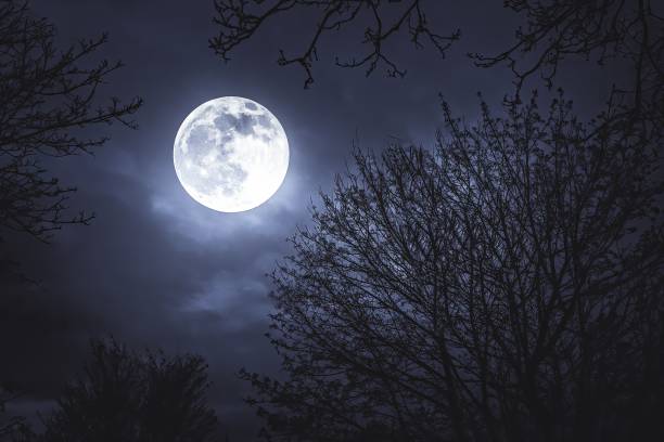 istock Moonlight, moon on a dark night behind trees 1439140660