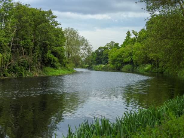 istock River surrounded by lush greenery on a summer day 1439140787
