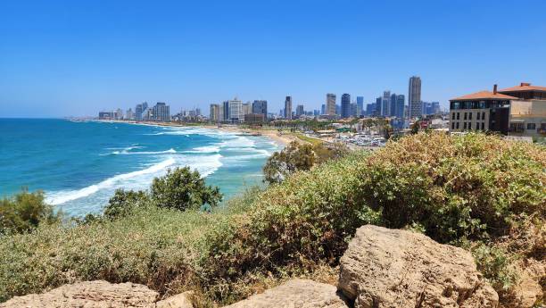 istock View of a beach and skyscrapers 1439140858