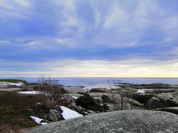istock Sea surrounded by rocks covered in branches under a cloudy sky during the sunset in Norway 1439141154
