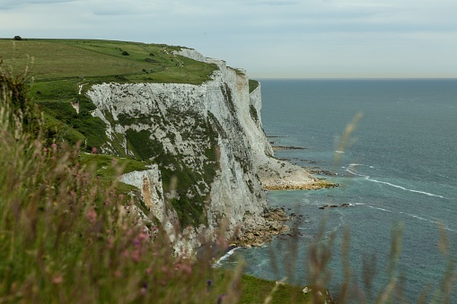 The white rocks covered in greenery surrounded by the sea in the South Foreland coast in the UK