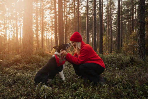 Woman and her dog out on hike in nature forest landscape
Woman and her border collie mix Jussi