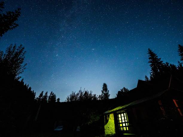 istock Low angle shot of silhouetted trees under dark evening sky 1439141844