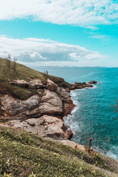 istock Vertical shot of a beach covered in stones and grass 1439142050