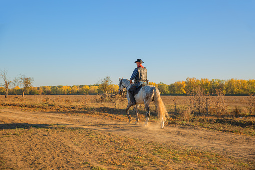 Man wearing cowboy outfit goes on horseback on white horse