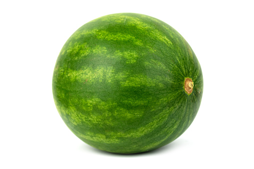 The sugar baby mini watermelon fruit