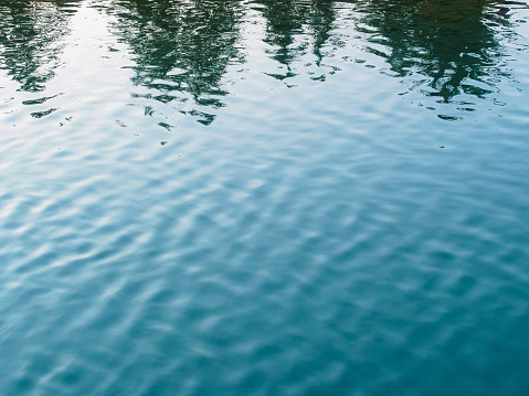 reflection of the treetops and ripples on the water of the lake