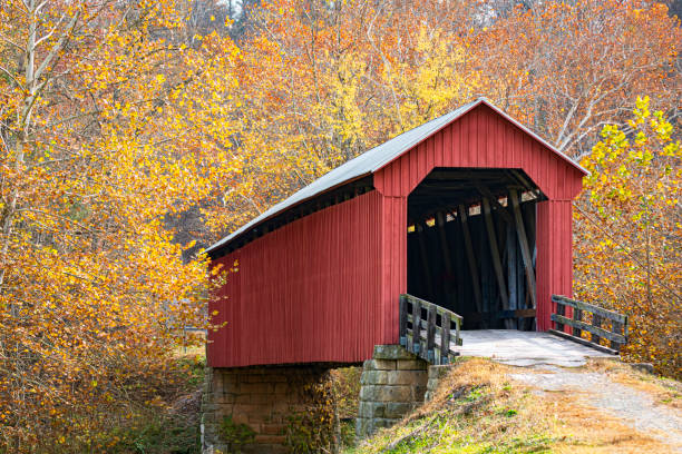 czerwony kryty most w jasnych jesiennych liściach - covered bridge zdjęcia i obrazy z banku zdjęć