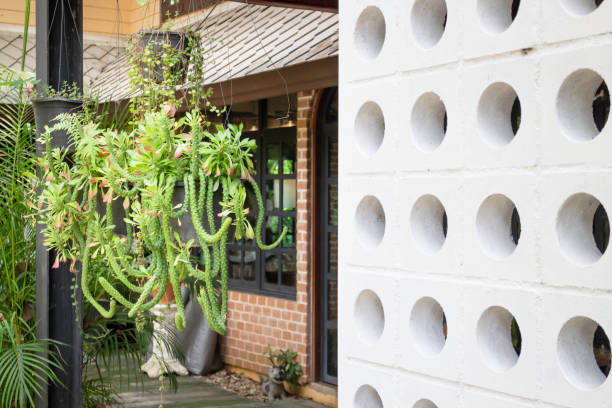 istock Air purifying plants for home 1439152205