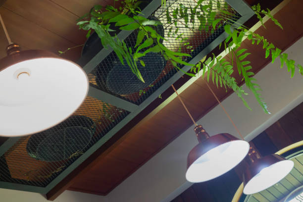 istock Air purifying plants for home 1439152269