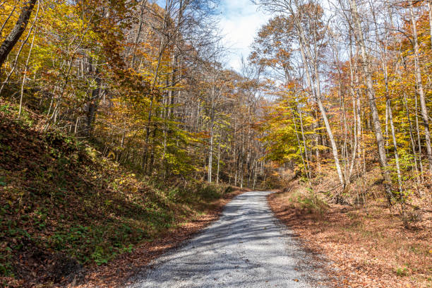 istock Beautiful country road in peak fall foliage 1439152380