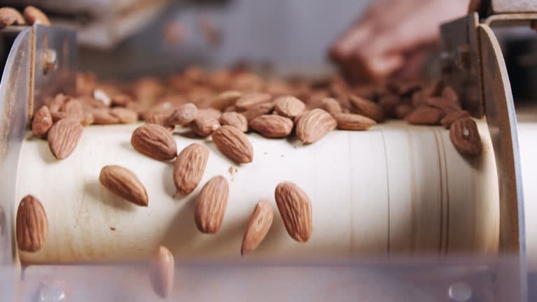 Slow motion of Almonds falling from a conveyor belt in a processing facility