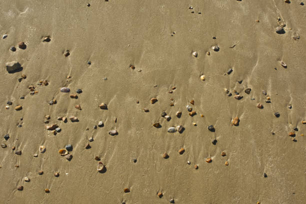 plage de sable avec galets - pebble sand photos et images de collection