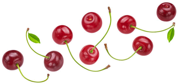 istock Cherry isolated on white background, full depth of field 1439168999