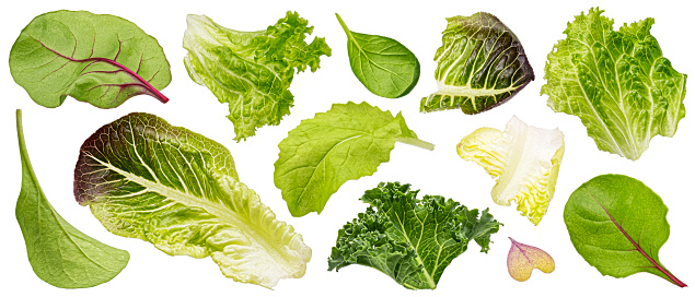Falling salad leaves isolated on white background, mix of fresh lettuce, rucola, kale, spinach and different microgreen leaves