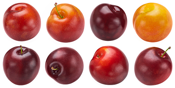Plums isolated on white background with clipping path. Full depth of field