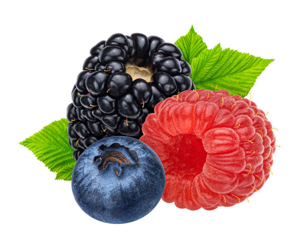 Berries mix. Blueberry, raspberry and blackberry isolated on white background