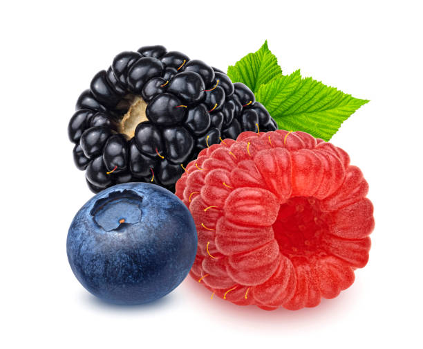 istock Blueberry, raspberry and blackberry isolated on white background 1439169963