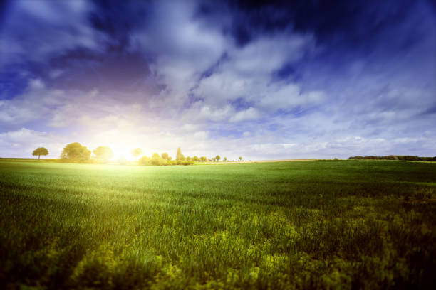 Green field over blue moody sky