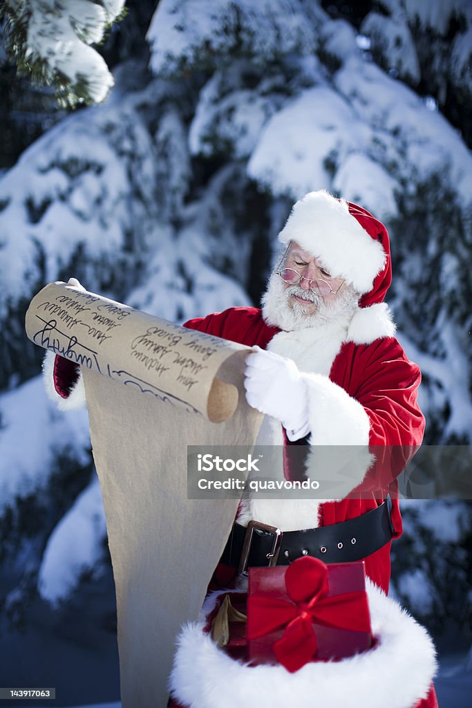 Em Santa Claus ler o Natal Nice/provocadora lista ao ar livre - Royalty-free Pai Natal Foto de stock