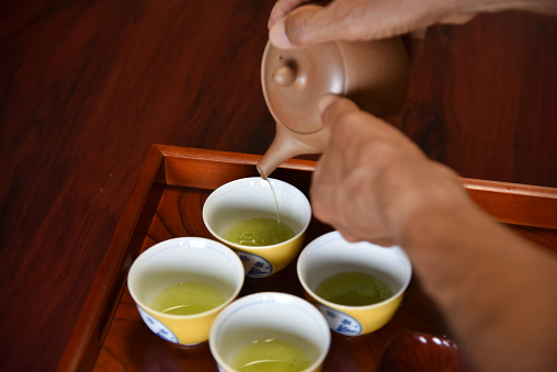 Japanese / english man picking tea leaves with his friends in tea farm, Shizuoka, Japan