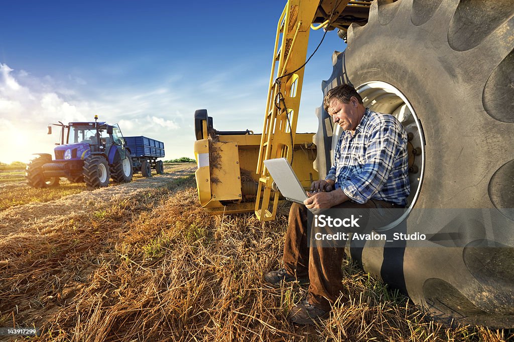 Farmer counts yields on a computer Farmer and laptop Agriculture Stock Photo