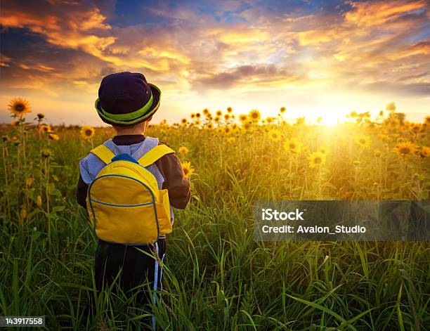 Photo libre de droit de Marchez En Direction Du Soleil banque d'images et plus d'images libres de droit de Première rentrée scolaire - Première rentrée scolaire, Été, Tournesol