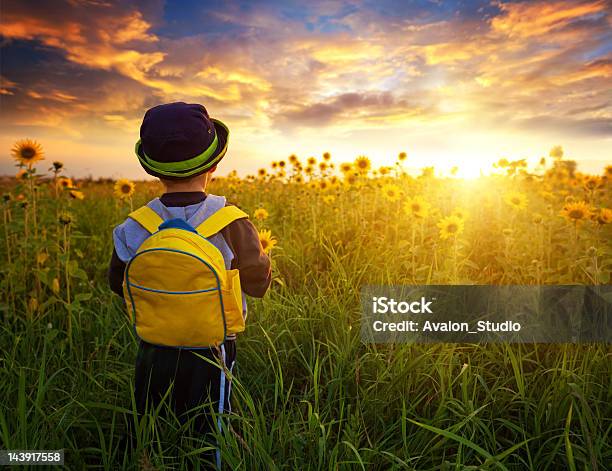 Câmara Para O Sol - Fotografias de stock e mais imagens de Primeiro Dia de Escola - Primeiro Dia de Escola, Verão, Girassol