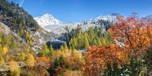 panorama automne et hiver en belles couleurs en montagne - european alps austria autumn colors photos et images de collection