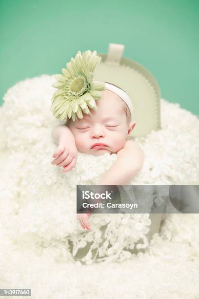 아기 상자에 녹색 배경에 대한 스톡 사진 및 기타 이미지 - 녹색 배경, 신생아, 귀여운